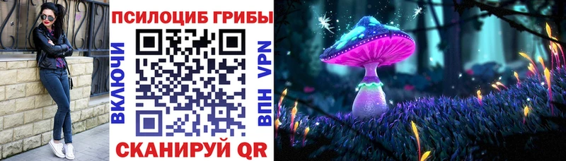 где купить наркоту  Приволжск  Галлюциногенные грибы ЛСД 
